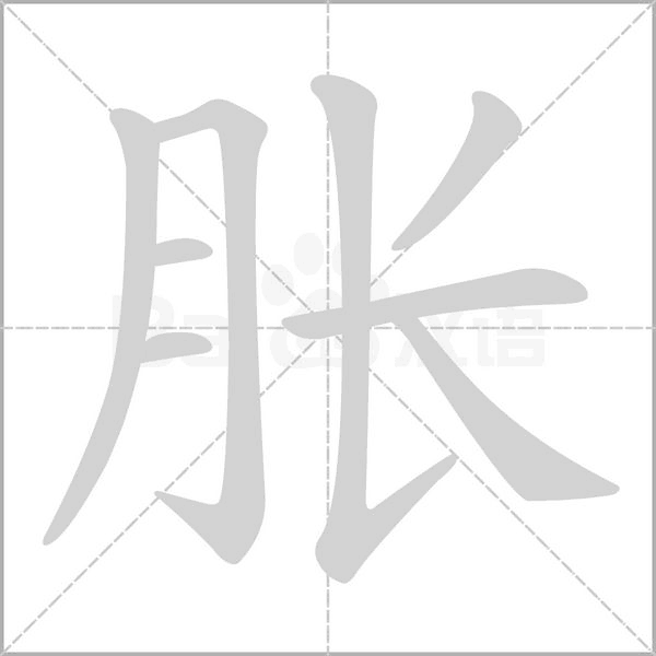 胀笔顺动图