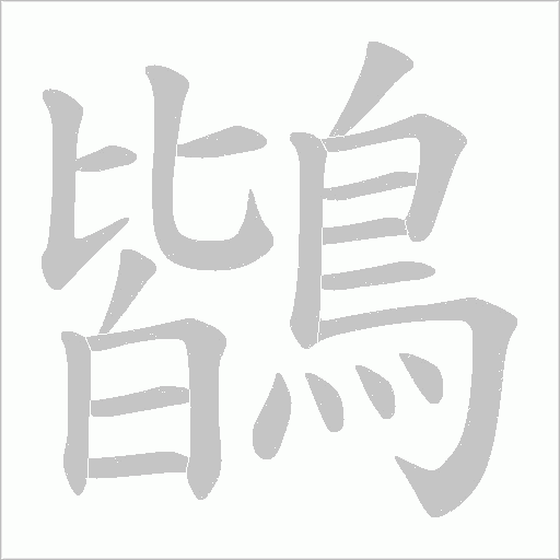 鶛笔顺动图