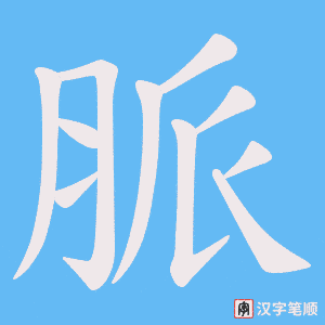脈笔顺动图