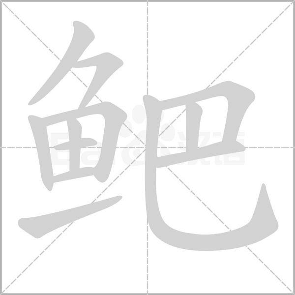 鲃笔顺动图
