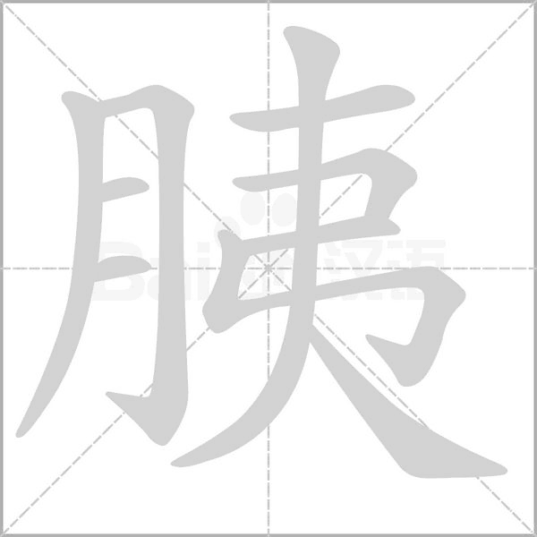 胰笔顺动图
