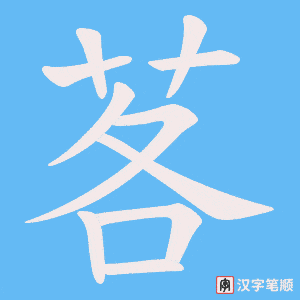 茖笔顺动图