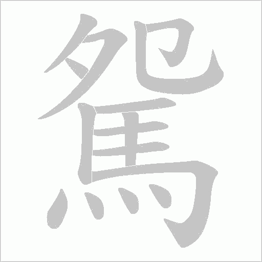 駌笔顺动图