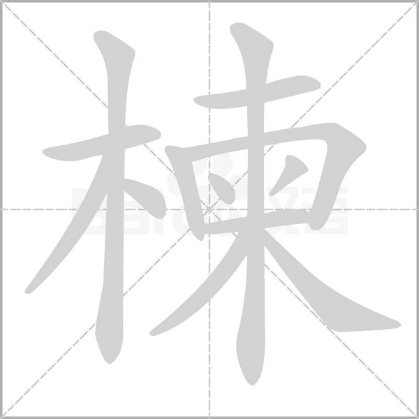 楝笔顺动图
