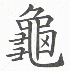 龜笔顺动图