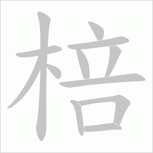 棓笔顺动图