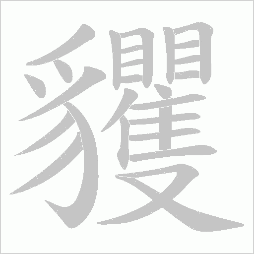 貜笔顺动图