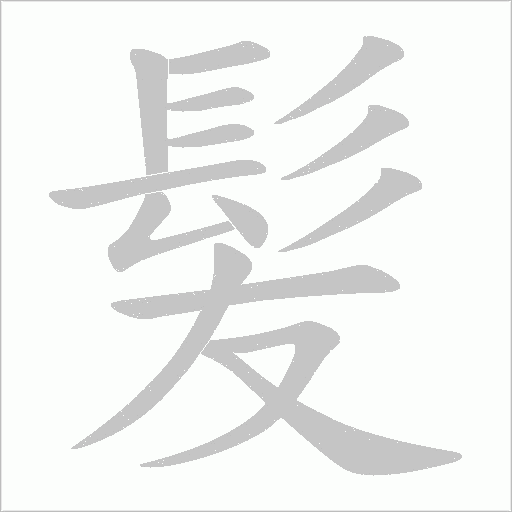 髪笔顺动图
