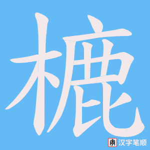樚笔顺动图