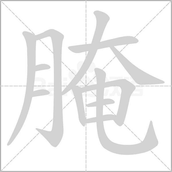 腌笔顺动图