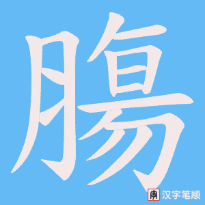膓笔顺动图