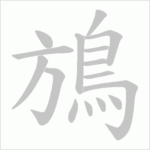 鴋笔顺动图