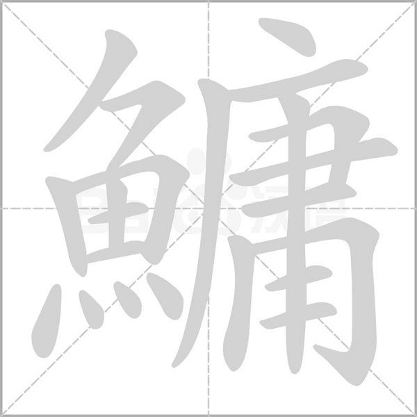 鱅笔顺动图