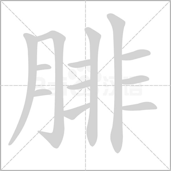 腓笔顺动图