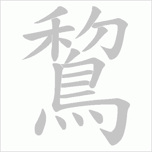 鵹笔顺动图