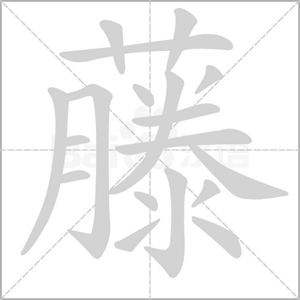 藤笔顺动图