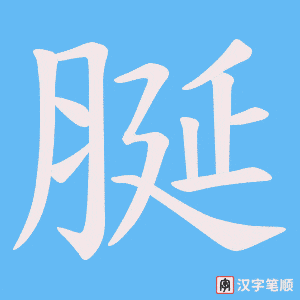 脠笔顺动图