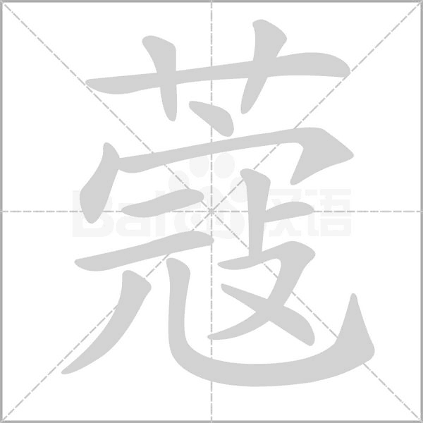 蔻笔顺动图