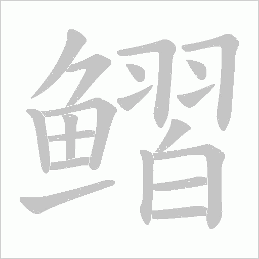 鳛笔顺动图