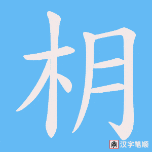 枂笔顺动图
