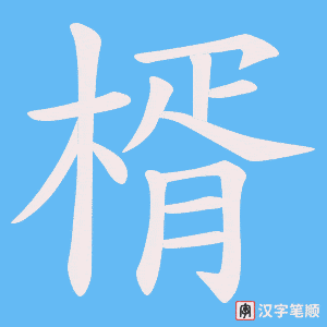 楈笔顺动图