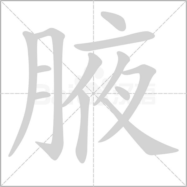 腋笔顺动图