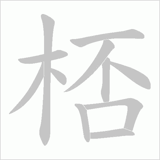 桮笔顺动图