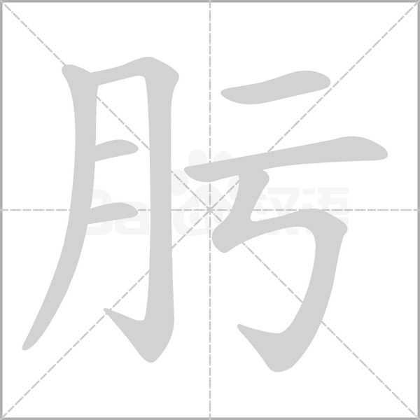 肟笔顺动图