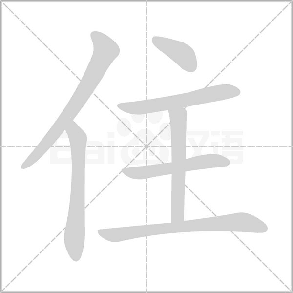 住笔顺动图