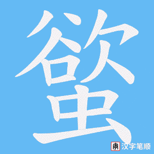 螸笔顺动图