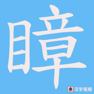 瞕笔顺动图