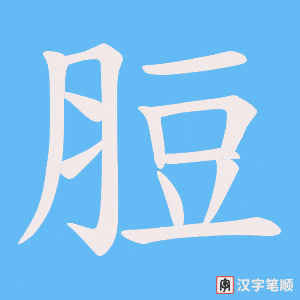 脰笔顺动图