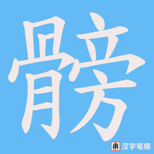 髈笔顺动图