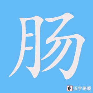 肠笔顺动图