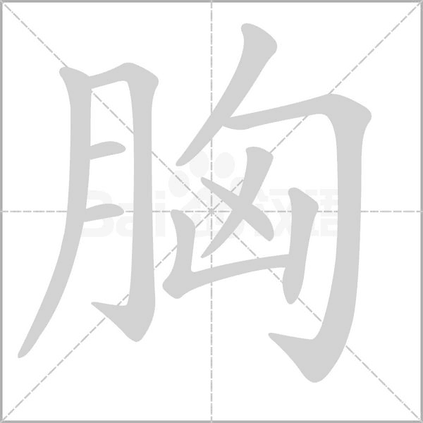胸笔顺动图
