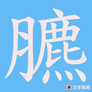 臕笔顺动图