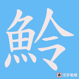 魿笔顺动图