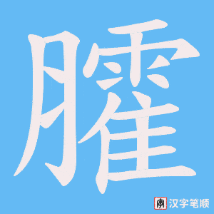 臛笔顺动图