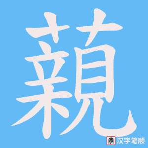 藽笔顺动图