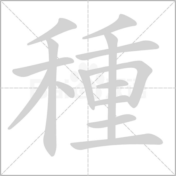 種笔顺动图