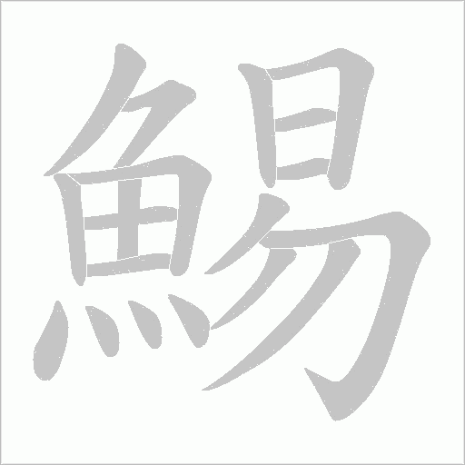 鯣笔顺动图