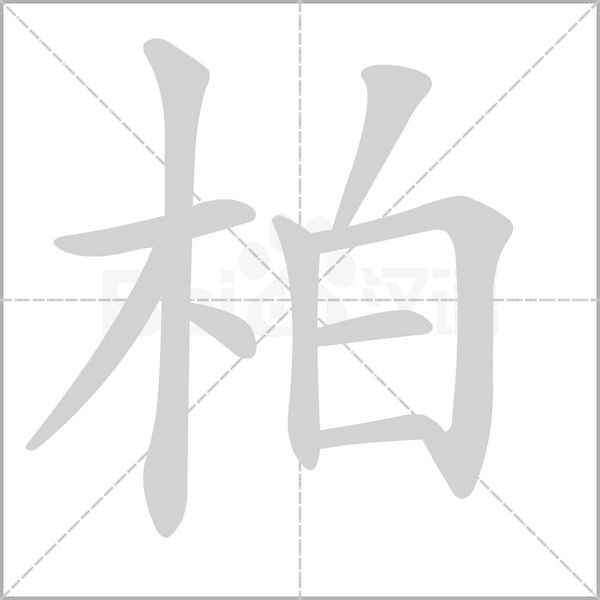 柏笔顺动图