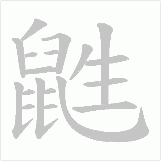 鼪笔顺动图
