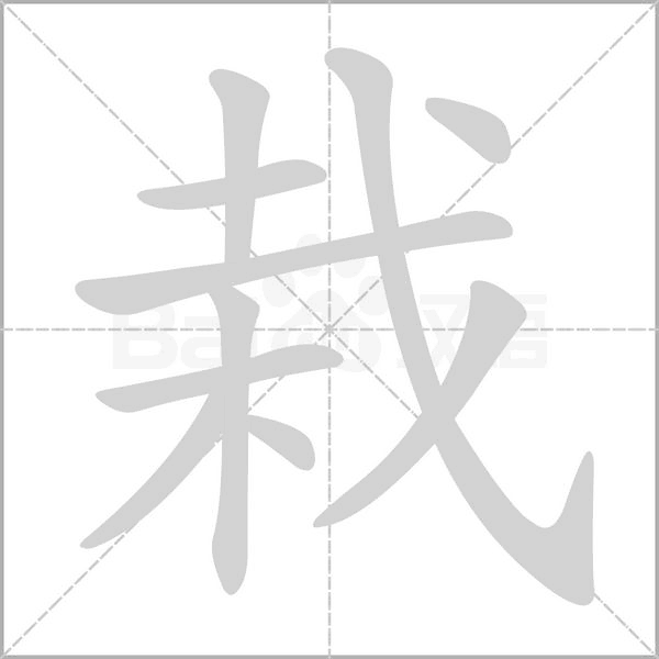 栽笔顺动图