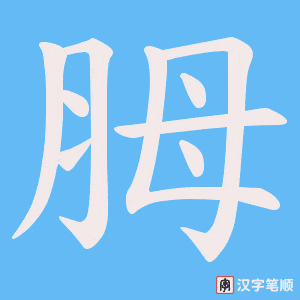 胟笔顺动图