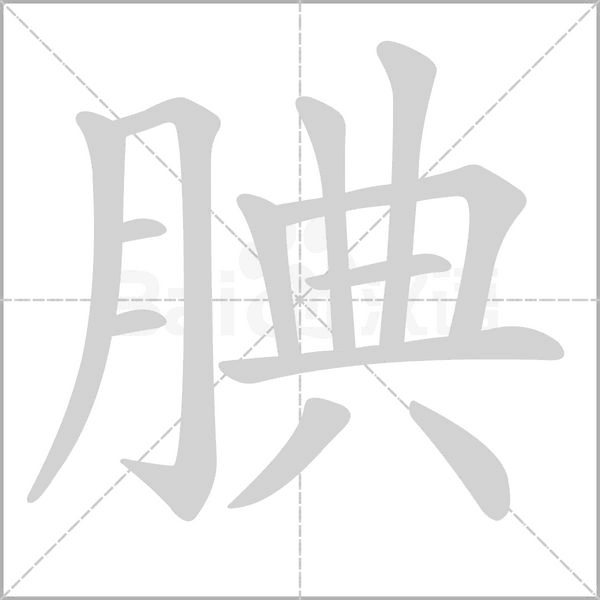 腆笔顺动图