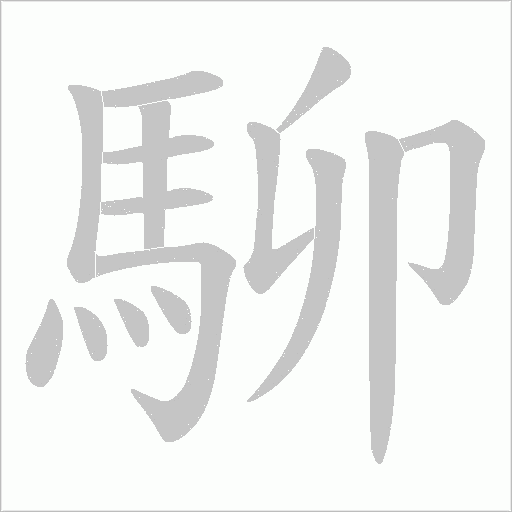 駠笔顺动图
