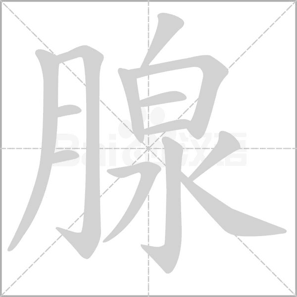 腺笔顺动图