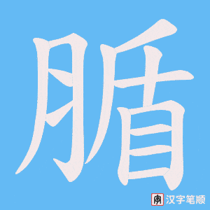 腯笔顺动图