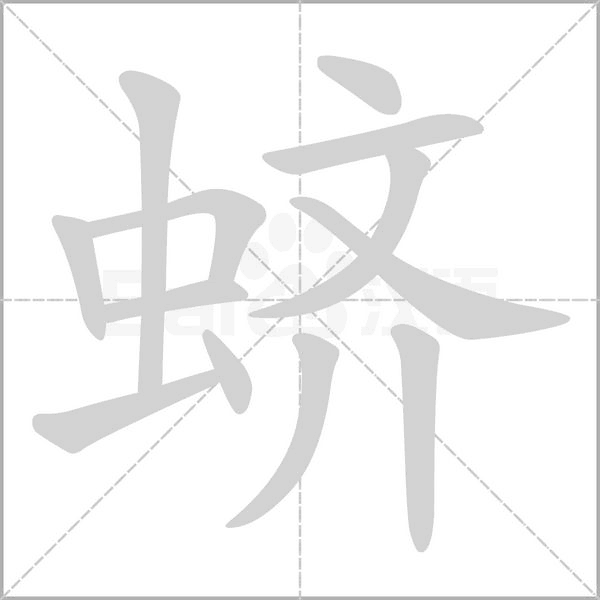 蛴笔顺动图